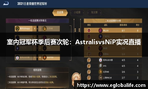 室内冠军杯季后赛次轮：AstralisvsNiP实况直播